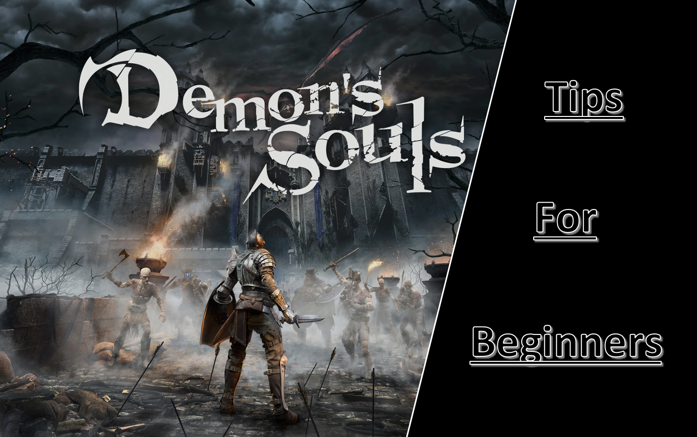 Demon Soul FULL Beginners Guide (Souls, Levelling, Characters